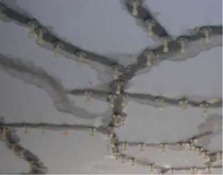 ���c��ˮҪ�_�����gʩ���˜�